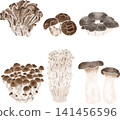 Cute hand-drawn style illustration of a mushroom set (Autumn flavors, vegetables, ingredients, colors, compilation) 141456596