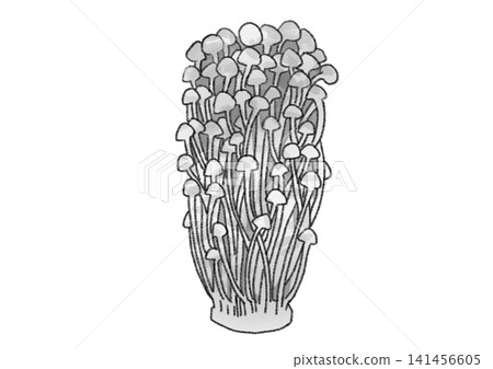 可愛的手繪風格金針菇插圖(蘑菇、蔬菜、黑白、單色、線條畫、剪紙) 可愛的手繪風格金針菇插圖(蘑菇、蔬菜、黑白、單色、線條畫、剪紙) 141456605