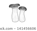 Cute hand-drawn style illustration of king oyster mushroom (mushroom, vegetable, black and white, monochrome, line drawing, cutout) 141456606