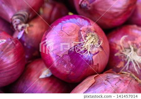 Vibrant red onions showcase their rich colors and textures at a bustling farmer's market during a sunny weekend in autumn Vibrant red onions showcase their rich colors and textures at a bustling farmer's market during a sunny weekend in autumn 141457014