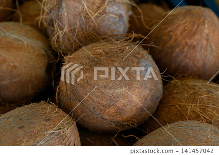 Coconuts resting together in a rustic market stall surrounded by earthy textures and vibrant colors Coconuts resting together in a rustic market stall surrounded by earthy textures and vibrant colors 141457042