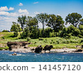 Erosioned rocks in the middle reaches of the Kiso River 141457120