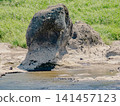 Erosioned rocks in the middle reaches of the Kiso River 141457123