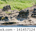 Erosioned rocks in the middle reaches of the Kiso River 141457124