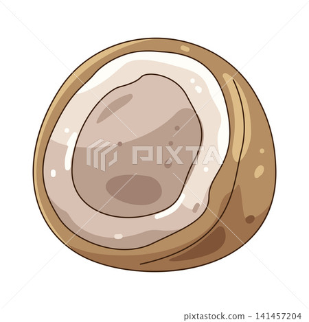 Illustration of coconut Illustration of coconut 141457204