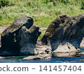 Erosioned rocks in the middle reaches of the Kiso River 141457404