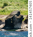 Erosioned rocks in the middle reaches of the Kiso River 141457405
