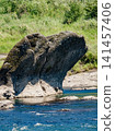Erosioned rocks in the middle reaches of the Kiso River 141457406