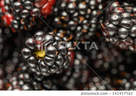 blackberries arranged in clusters on a dark background with bokeh effect, delicious and fresh fruit close-up shot from above for food photography and healthy eating. blackberries arranged in clusters on a dark background with bokeh effect, delicious and fresh fruit close-up shot from above for food photography and healthy eating. 141457582