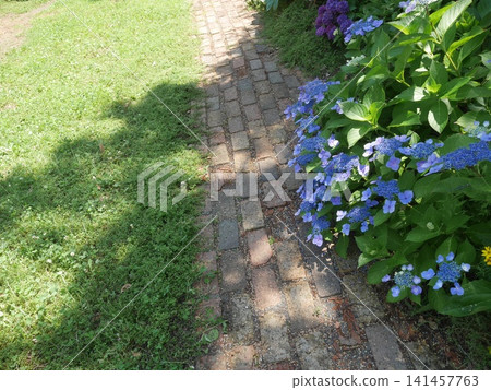 A straight, long brick approach A straight, long brick approach 141457763