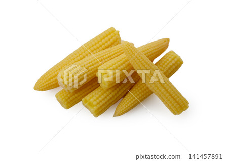 Fresh baby corn stacked in a neat pile showcasing its vibrant yellow color and crisp texture Fresh baby corn stacked in a neat pile showcasing its vibrant yellow color and crisp texture 141457891