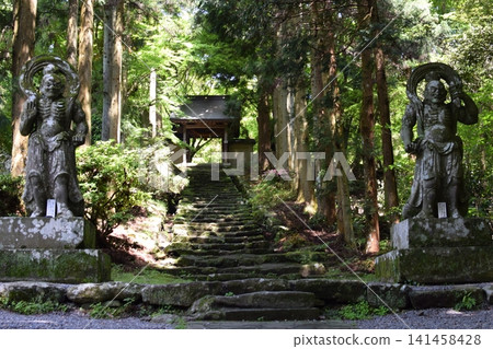 Landscape with the image of Nioh Landscape with the image of Nioh 141458428