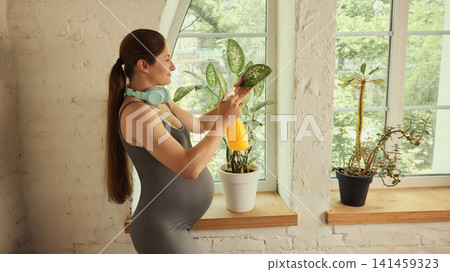 Curious young brunette expectant mother using smartphone near houseplants Curious young brunette expectant mother using smartphone near houseplants 141459323