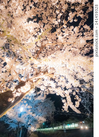 Cherry blossoms in Katsunuma Budokyo and the Chuo Main Line Cherry blossoms in Katsunuma Budokyo and the Chuo Main Line 141459328