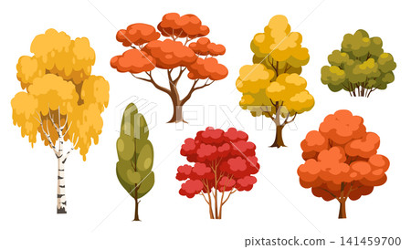 Autumn trees elements set design. Collection with yellow, orange, red and green foliage on birch, maple and other species. Fall botanical trees and bushes with different shapes. Vector illustration. 141459700