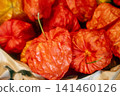 Fresh ground cherries 141460126