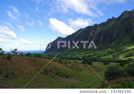 Kualoa Ranch: A vast natural landscape Kualoa Ranch: A vast natural landscape 141460198