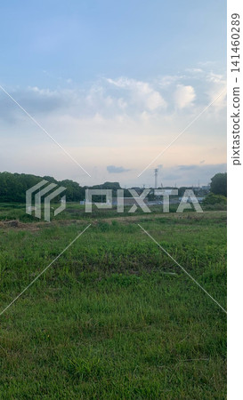 A suburban landscape at dusk, with vast grasslands and distant forests and power lines stretching out before you. A suburban landscape at dusk, with vast grasslands and distant forests and power lines stretching out before you. 141460289