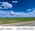 Countryside asphalt road with white line passing near green agricultural field under a deep blue summer sky filled with cumulus clouds 141460298