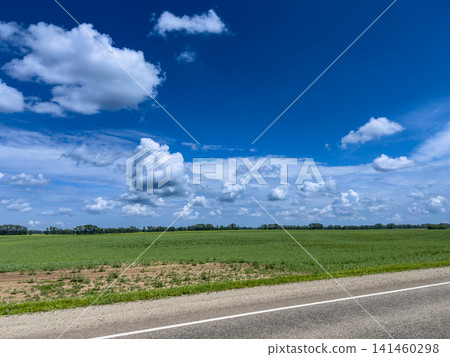 Countryside asphalt road with white line passing near green agricultural field under a deep blue summer sky filled with cumulus clouds Countryside asphalt road with white line passing near green agricultural field under a deep blue summer sky filled with cumulus clouds 141460298
