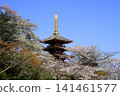 A five-story pagoda surrounded by cherry blossoms - April, Hino 71 Cherry blossoms and a five-story pagoda/Takahata Fudo Temple 141461577