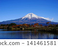 Mount Fuji and the autumn foliage of Lake Tanuki against a blue sky - November, Fujinomiya 102 Mount Fuji and the autumn foliage of Lake Tanuki 141461581