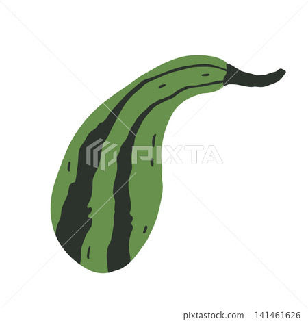 Green striped pumpkin Green striped pumpkin 141461626