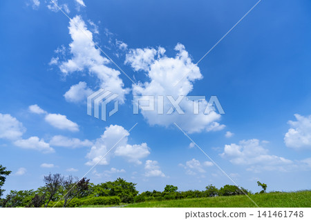 Summer blue sky, clouds, and grassland Summer blue sky, clouds, and grassland 141461748
