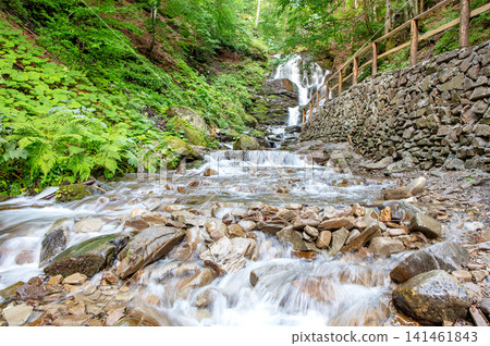 Water flows down rocks in a stream with a waterfall in a forested area on a sunny day Water flows down rocks in a stream with a waterfall in a forested area on a sunny day 141461843
