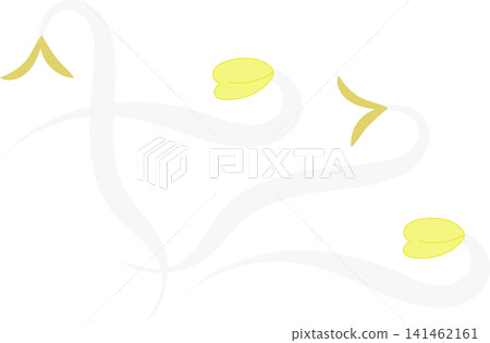 white bean sprout 141462161
