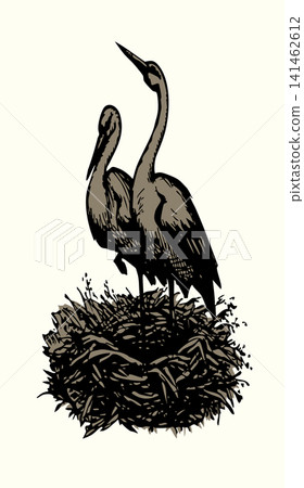 Vector drawing. Storks in a nest on the roof Vector drawing. Storks in a nest on the roof 141462612