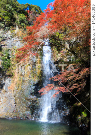 Minoo Falls, adorned with autumn foliage, is one of Osaka's most representative scenic spots in autumn. Minoo Falls, adorned with autumn foliage, is one of Osaka's most representative scenic spots in autumn. 141463399