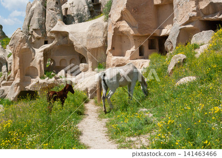 Ancient cave dwellings inside famous fairy chimneys of Cappadocia Turkey 141463466