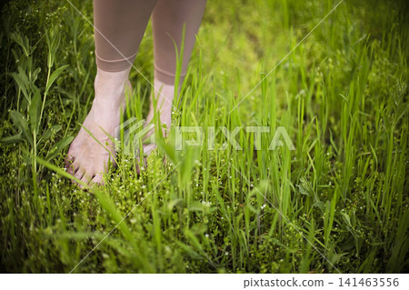 Barefoot female standing in lush green grass, with soft sunlight illuminating the scene, showcasing the connection to nature and the tranquility of the outdoor environment Barefoot female standing in lush green grass, with soft sunlight illuminating the scene, showcasing the connection to nature and the tranquility of the outdoor environment 141463556