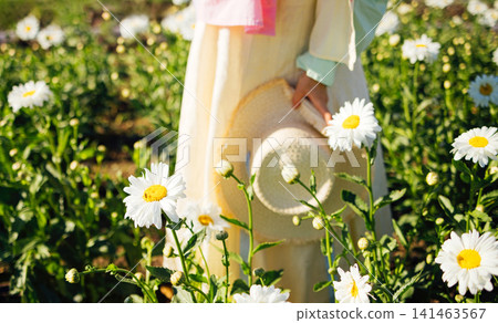 Female figure in light dress holding straw hat surrounded by blooming daisies in a vibrant flower field during sunny weather 141463567