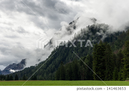 Misty Dolomite mountain slope above conifer forest and green meadow, South Tyrol Misty Dolomite mountain slope above conifer forest and green meadow, South Tyrol 141463653
