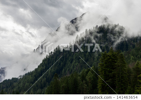 Fog-covered Dolomite ridge and dense conifer forest in South Tyrol, near San Vigilio di Marebbe Fog-covered Dolomite ridge and dense conifer forest in South Tyrol, near San Vigilio di Marebbe 141463654