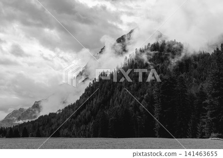 Black and white Dolomite mountain landscape with forest and drifting mist Black and white Dolomite mountain landscape with forest and drifting mist 141463655