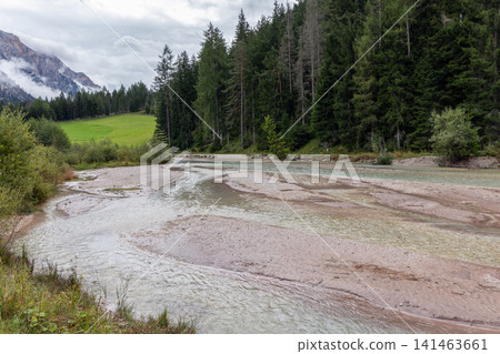Braided alpine river with gravel bars meadow and conifer forest, near San Vigilio di Marebbe 141463661