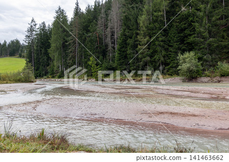 Shallow alpine stream crossing broad gravel bars beside conifer woodland Shallow alpine stream crossing broad gravel bars beside conifer woodland 141463662