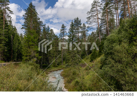 Clear mountain creek winding through sunlit conifer forest, near San Vigilio di Marebbe Clear mountain creek winding through sunlit conifer forest, near San Vigilio di Marebbe 141463668