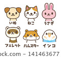 常見的寵物動物 141463677