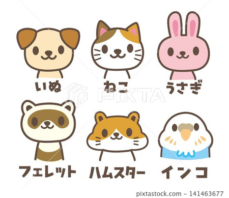 常見的寵物動物 141463677