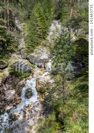 Ciastlins stream and small cascades framed by conifer forest in South Tyrol, Italy Ciastlins stream and small cascades framed by conifer forest in South Tyrol, Italy 141463735