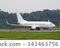 Boeing 737 141463756