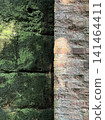 The contrast between moss-covered stonework and brick walls 141464411