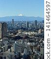 The Tokyo cityscape and snow-covered Mount Fuji 141464597