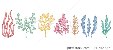 Set of different seaweeds vector graphics Set of different seaweeds vector graphics 141464846