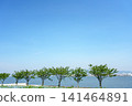 A vast field of nemophila flowers in full bloom stretches towards the blue sky, overlooking the sea. 141464891
