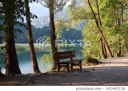 Wooden Bench Under Trees at Lago di Cavazzo Lake in Italy Wooden Bench Under Trees at Lago di Cavazzo Lake in Italy 141465116